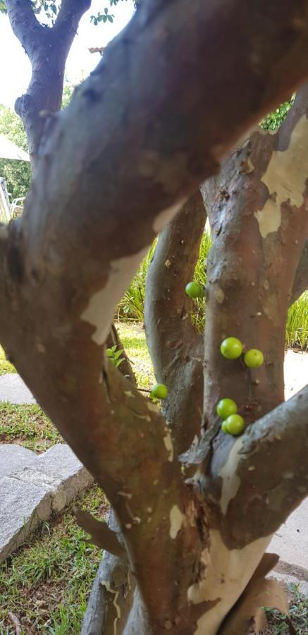Pousada Guaruja Bombinhas Εξωτερικό φωτογραφία